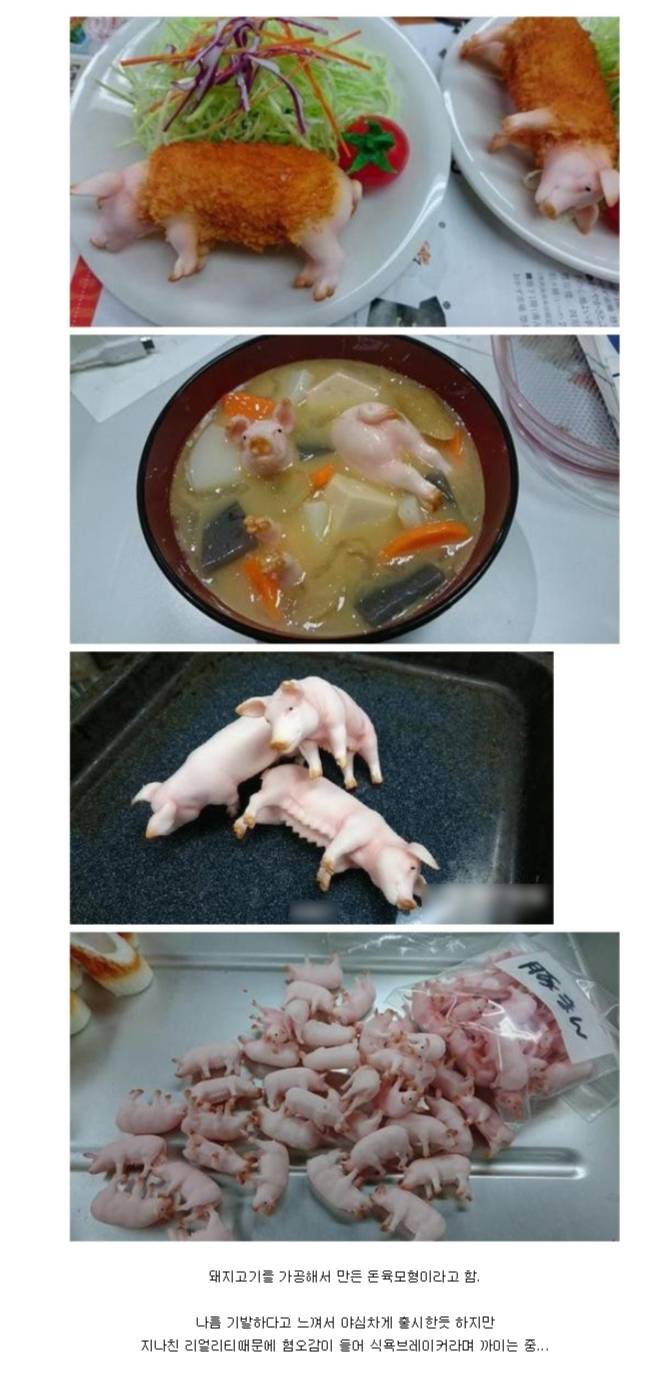 안 흔한 돼지고기 | 인스티즈