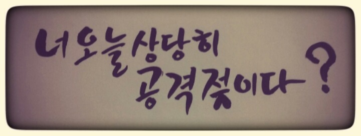 최설화 비키니 | 인스티즈