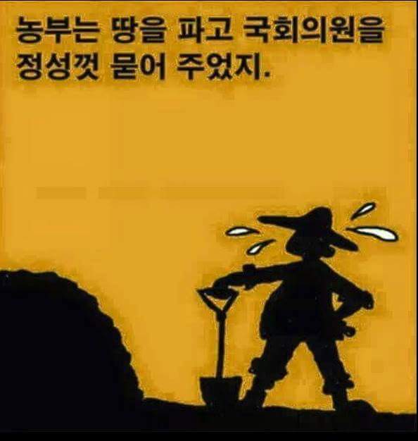 국회의원의 최후 | 인스티즈