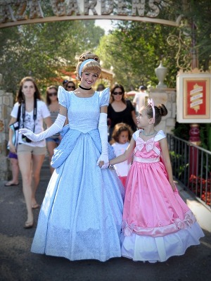 디즈니 랜드에 가면 볼 수 있는 것 | 인스티즈