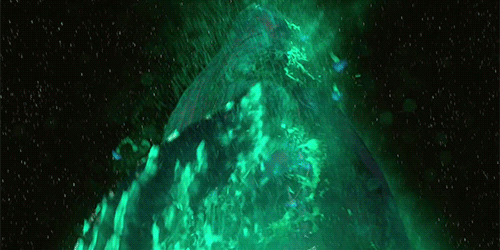 아이맥스로 보고 온 사람들 부심 쩌는 거 같은 영화 | 인스티즈