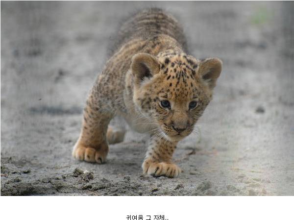 생명의 신비.jpg | 인스티즈