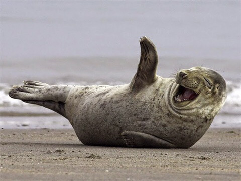 이앙기가 고장나면? | 인스티즈