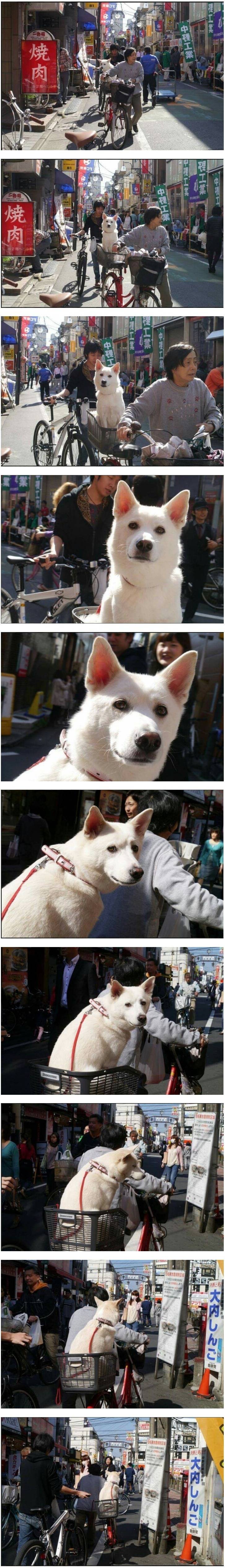 개아련 레전드 | 인스티즈