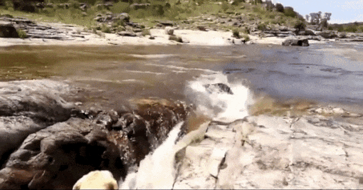 ??: 내가 구해줄게 | 인스티즈