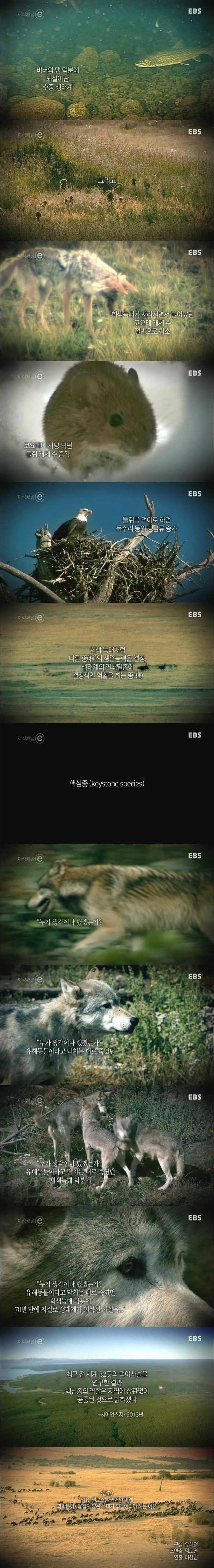 70년 만의 귀환 | 인스티즈