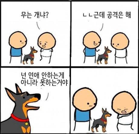 물지는 않지만 공격은 하는 개 | 인스티즈