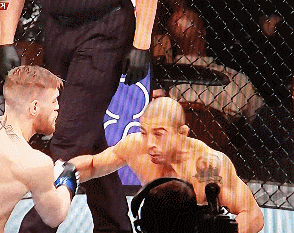 뱀 vs 고양이 | 인스티즈