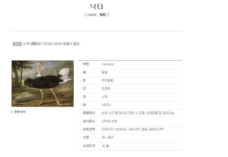 낙타와 타조를 헷갈려 하시는분들이 많아서 정리해드림 | 인스티즈