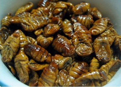 호불호가 심하게 갈리는 음식들 | 인스티즈