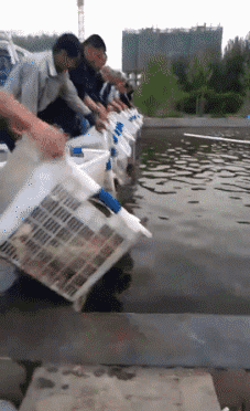 형이 왜 거기 들어가 | 인스티즈