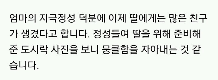 왕따 당하는 딸 위해 엄마가 매일 싸준 도시락의 기적 | 인스티즈