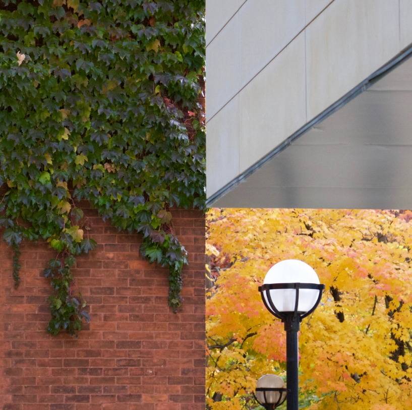 한장의 사진.jpg | 인스티즈