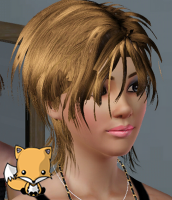 심즈사이트들의 무료템과 유료템의 극명한 차이..zㅋ..z.zㅋ..ㅋ.. | 인스티즈