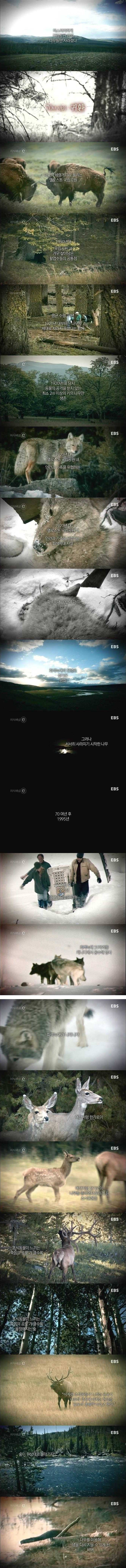 70년 만의 귀환 | 인스티즈