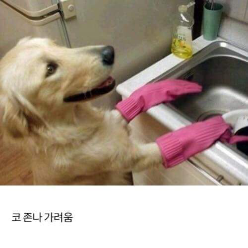설거지할때 공감 | 인스티즈
