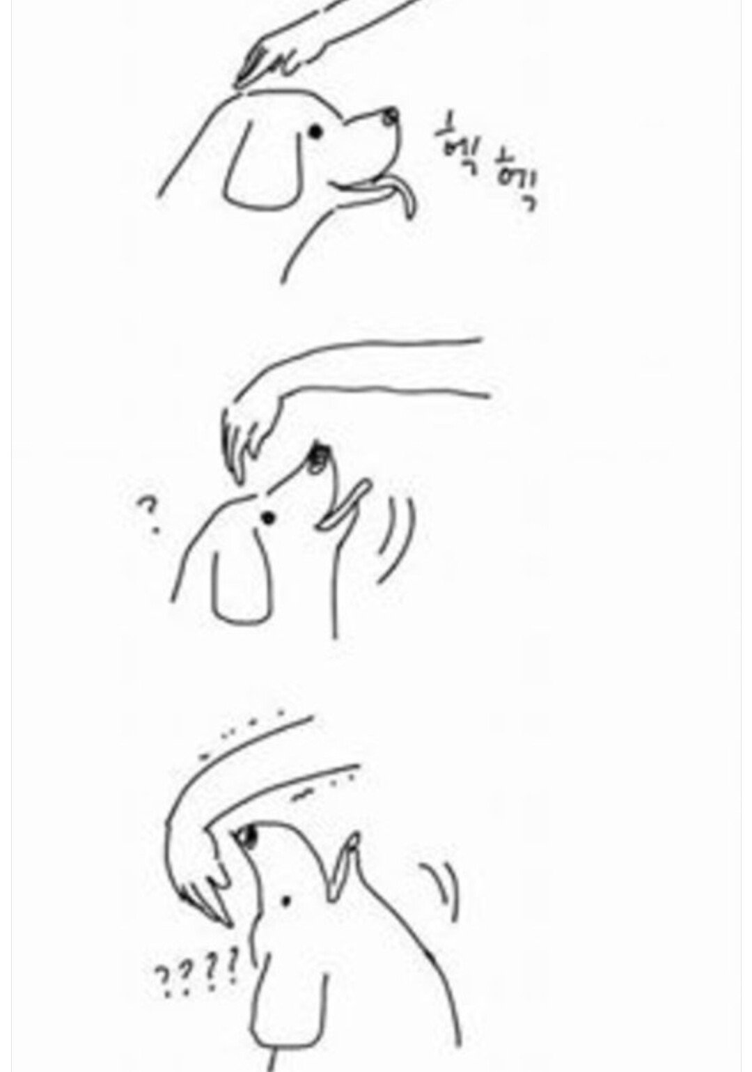 강아지 머리쓰다듬을때 공감.jpg | 인스티즈