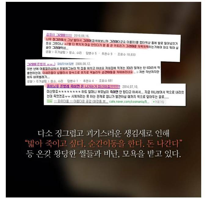 벌레 죽이지 마세요... | 인스티즈