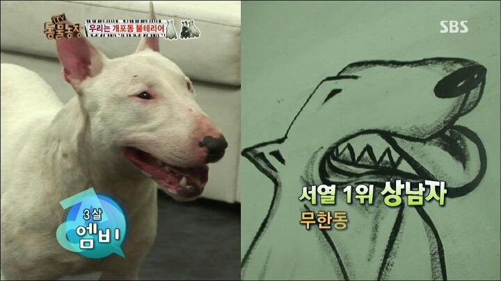 주인이 100％ 노린 이름 | 인스티즈