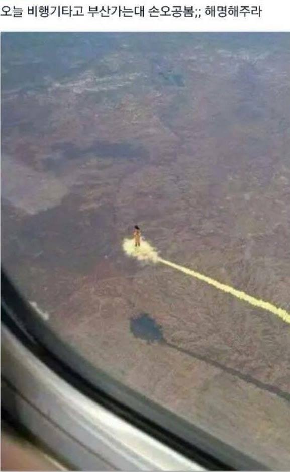 손오공 봤다는 친구.jpg | 인스티즈