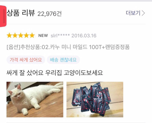 상품평 올리면서 고양이 자랑 | 인스티즈