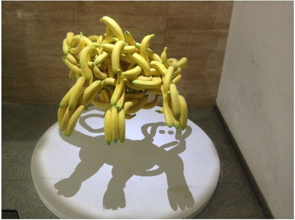 바나나원숭이 | 인스티즈