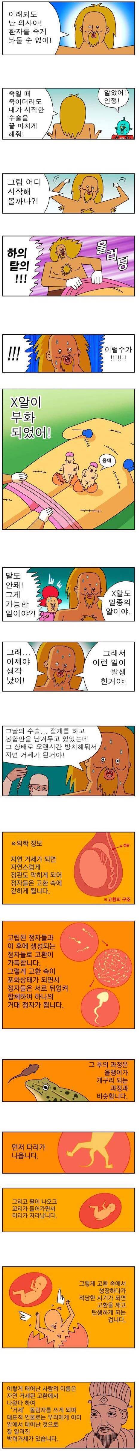 알파고vs 귀귀 | 인스티즈
