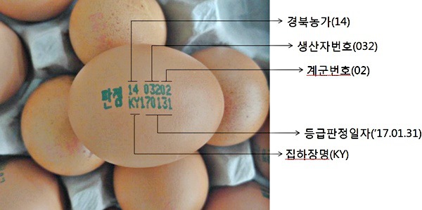 살충제 계란 구별하는 방법!! | 인스티즈