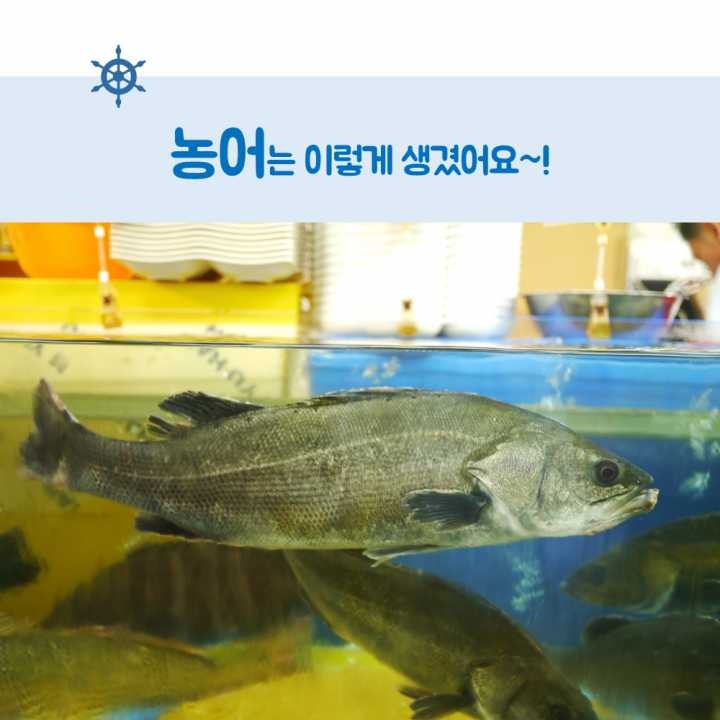 생선회 구별법.JPG | 인스티즈