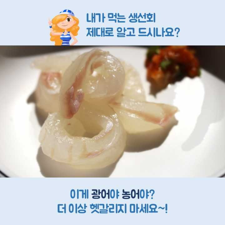 생선회 구별법.JPG | 인스티즈