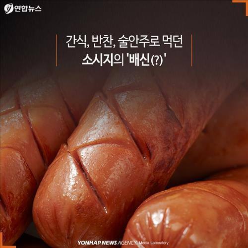 격랑의 소시지 | 인스티즈