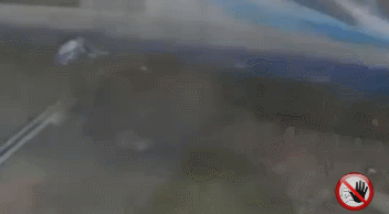 철도길 차단기 무시한댓가.GIF | 인스티즈