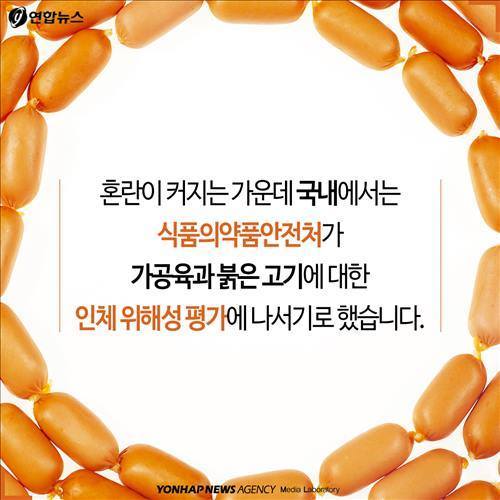 격랑의 소시지 | 인스티즈