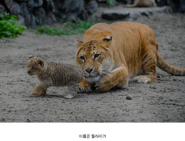 생명의 신비.jpg | 인스티즈