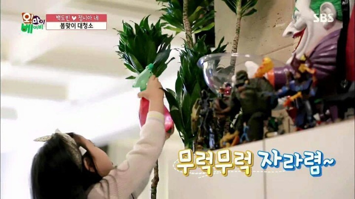 식물과 소통하는 서우 | 인스티즈