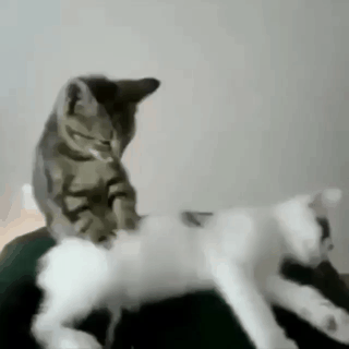 안마사.gif | 인스티즈