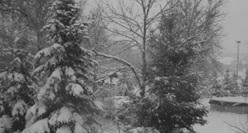  나는 일본군입니다. 그러나 잊지 말아 주세요 | 인스티즈