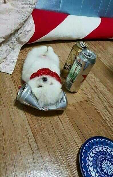 오이로 술병 따기 | 인스티즈