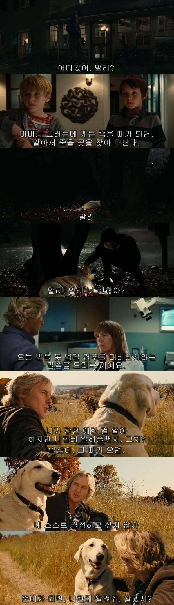 본 사람들은 불호가 거의 없다는 영화들 ㄷㄷㄷ.jpg | 인스티즈