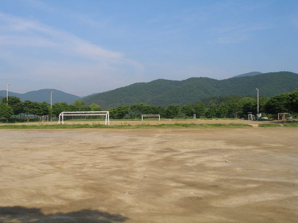 30분만 버티면 백만원 얻을수있음 도전 한다vs안한다 | 인스티즈