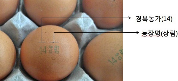 살충제 계란 구별하는 방법!! | 인스티즈