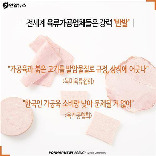 격랑의 소시지 | 인스티즈