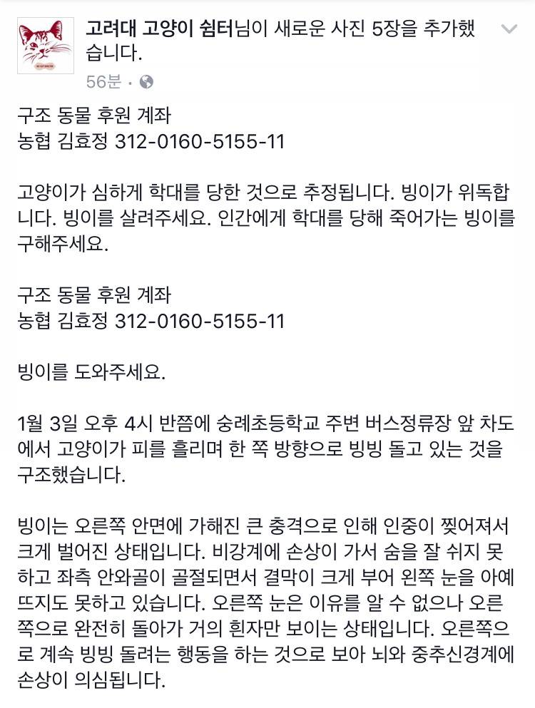 인간에게 학대를 당해 죽어가는 빙이를 구해주세요 | 인스티즈