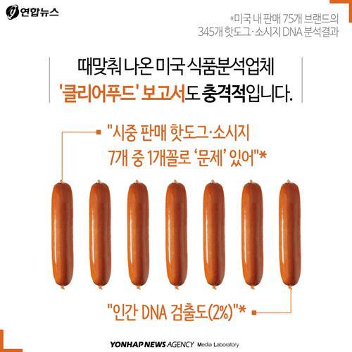 격랑의 소시지 | 인스티즈