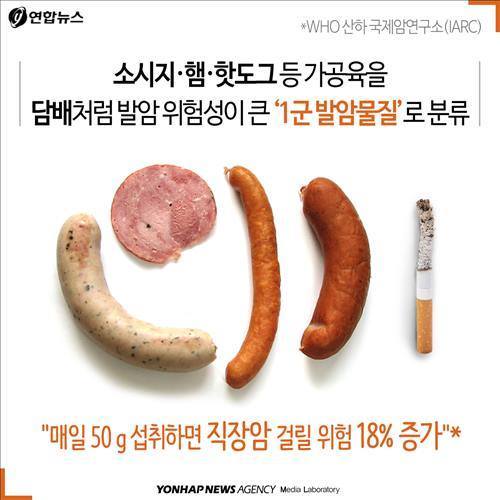 격랑의 소시지 | 인스티즈