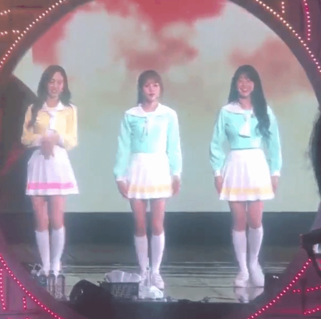 쯔위의 트와이스 막내인증 | 인스티즈