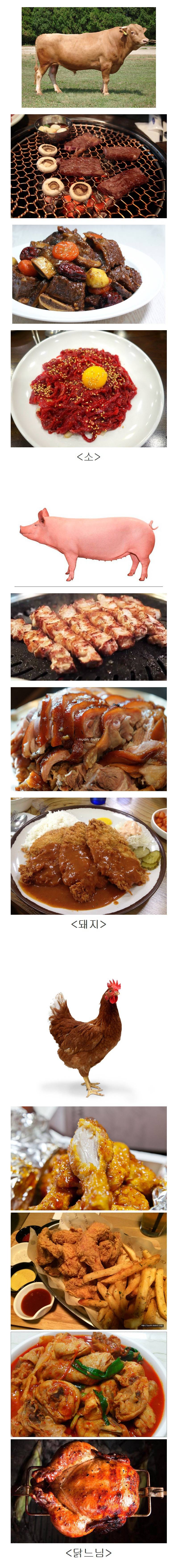 셋중 한가지가 멸종한다면? | 인스티즈