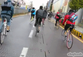 운전자들 심쿵하게 만드는 자라니들.gif | 인스티즈