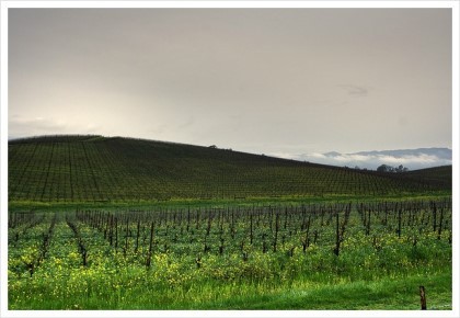 전세계 10억명 이상이 본 사진 | 인스티즈