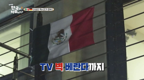 독일과 멕시코의 국기에 대한 생각 차이를 보여준 장면(feat.일본) | 인스티즈